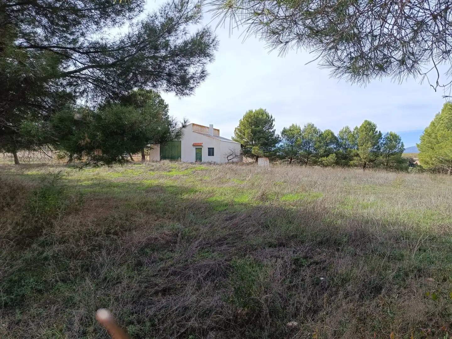 Terreno rustico in vendita a N/A