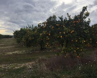 Finca rústica en venda en Amposta