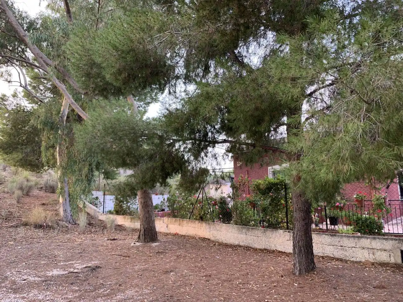 Xalet en venda a Calle LOS FRANCISQUETES, imagen 4
