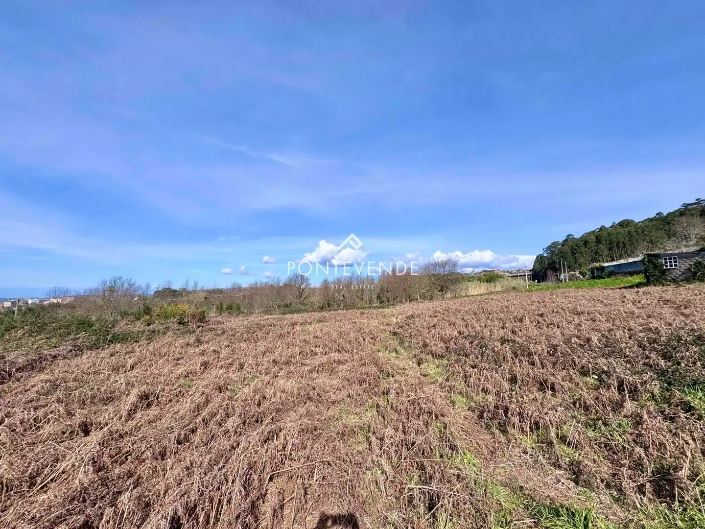 Terreno rustico in vendita a Marín, imagen 5