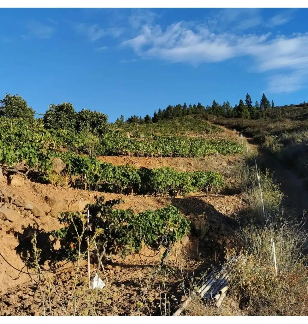 Außenansicht von Grundstücke zum Verkauf in Granadilla de Abona