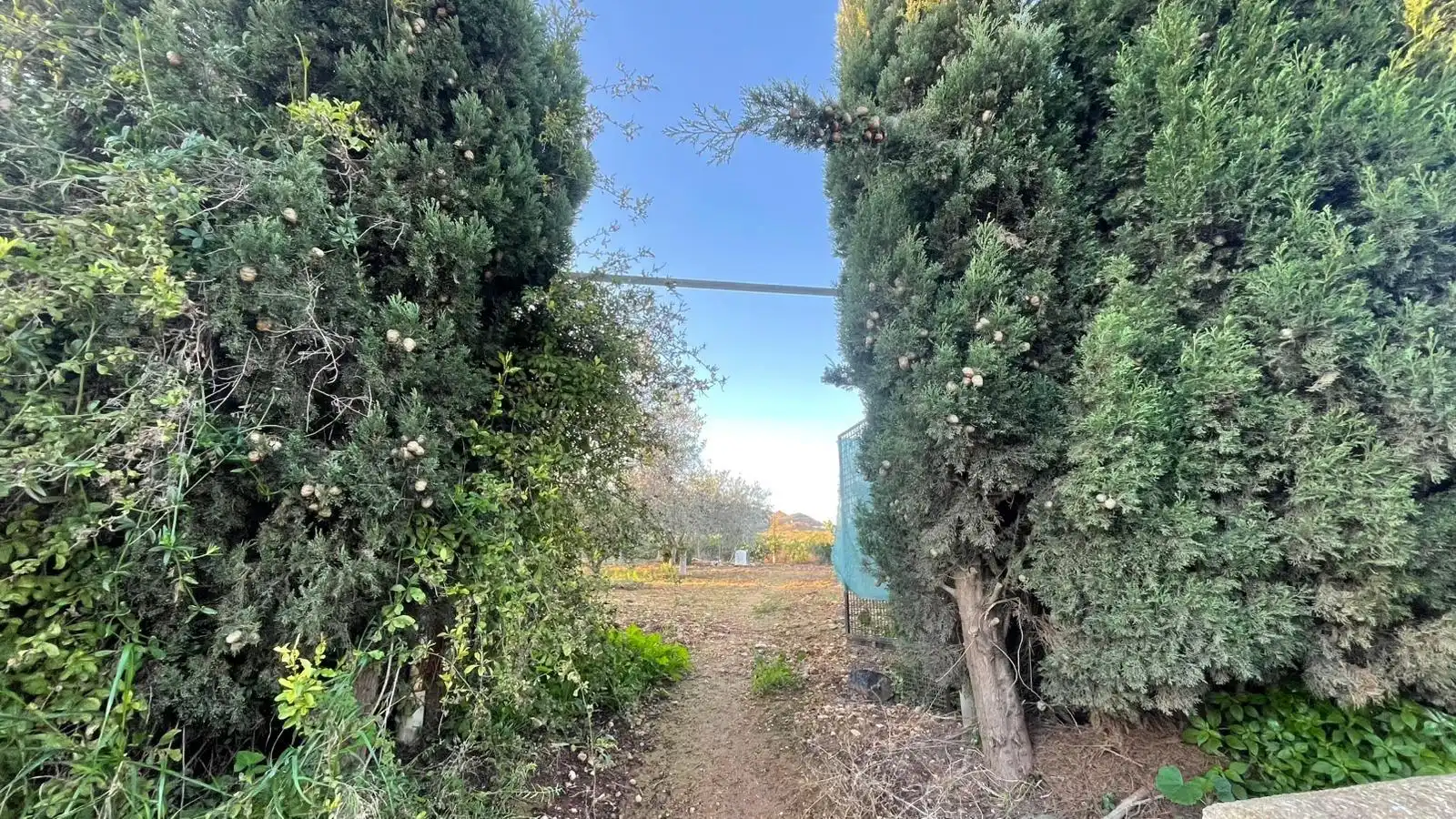 Casa rústica en venta en La Pinilla - Las Palas, imagen 22
