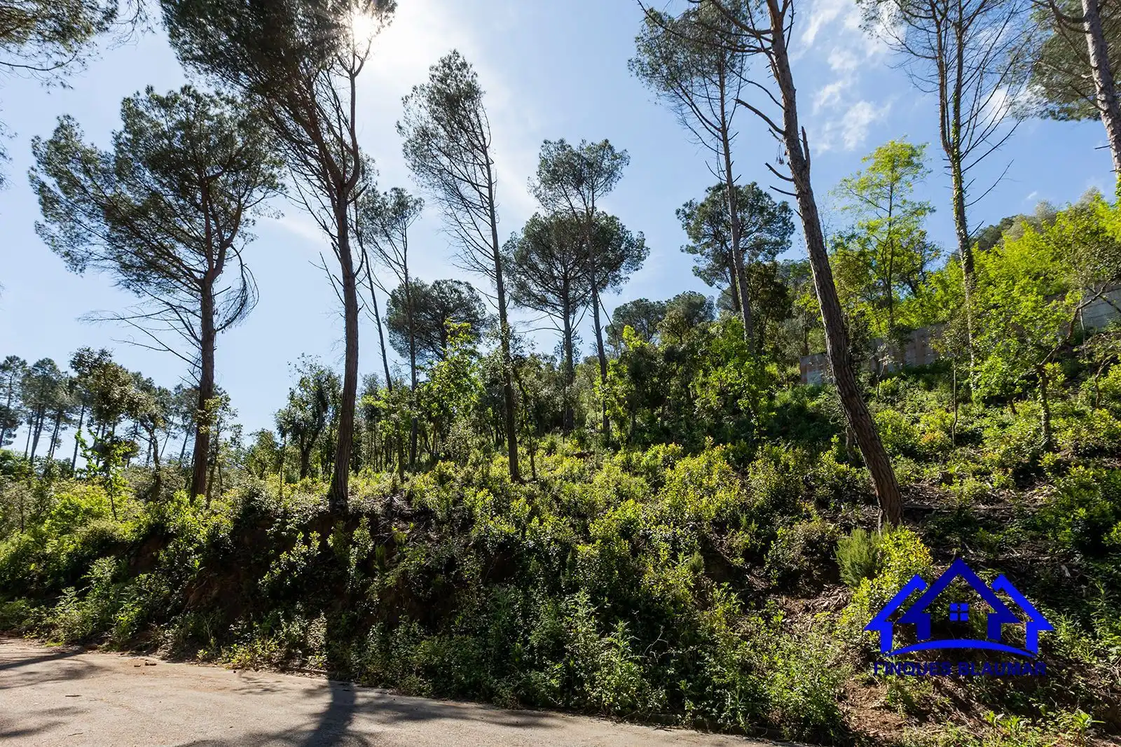Lands and plots for sale in Vallgorguina, imagen 3
