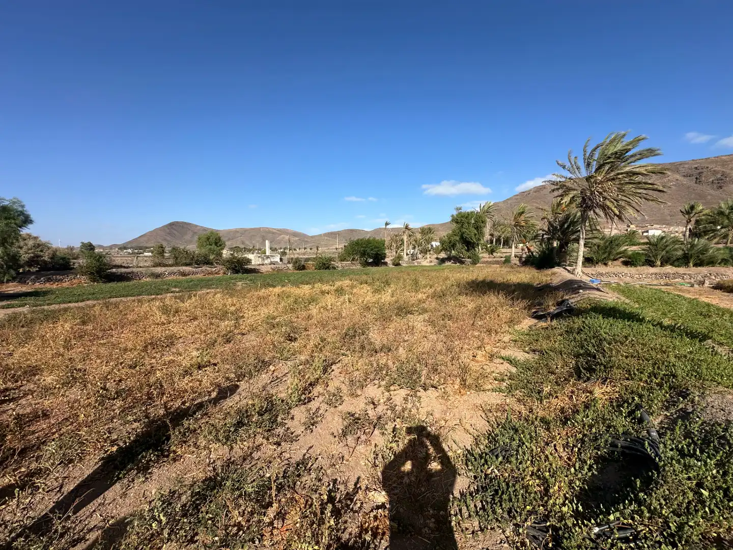 Finca rústica en venda en Pájara amb Jardí privat, Moblat i Forn