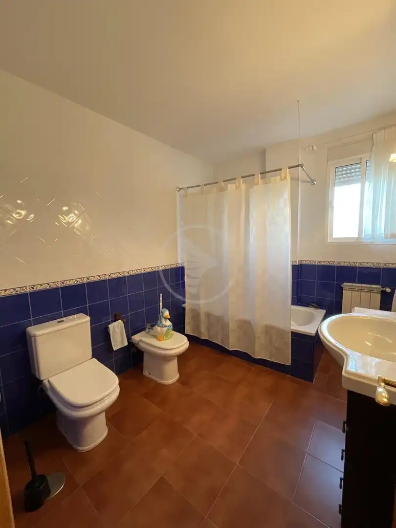 Baño de Finca rústica en venta en Linares con Piscina