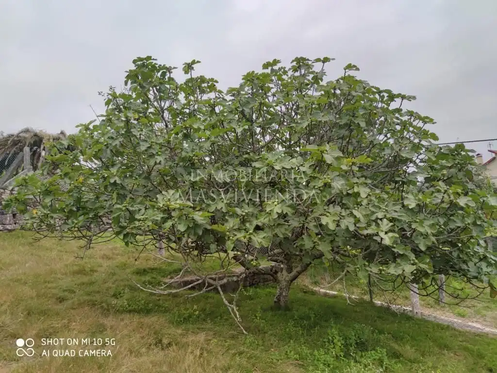 Casa o xalet en venda en Moraña amb Calefacció i Jardí privat