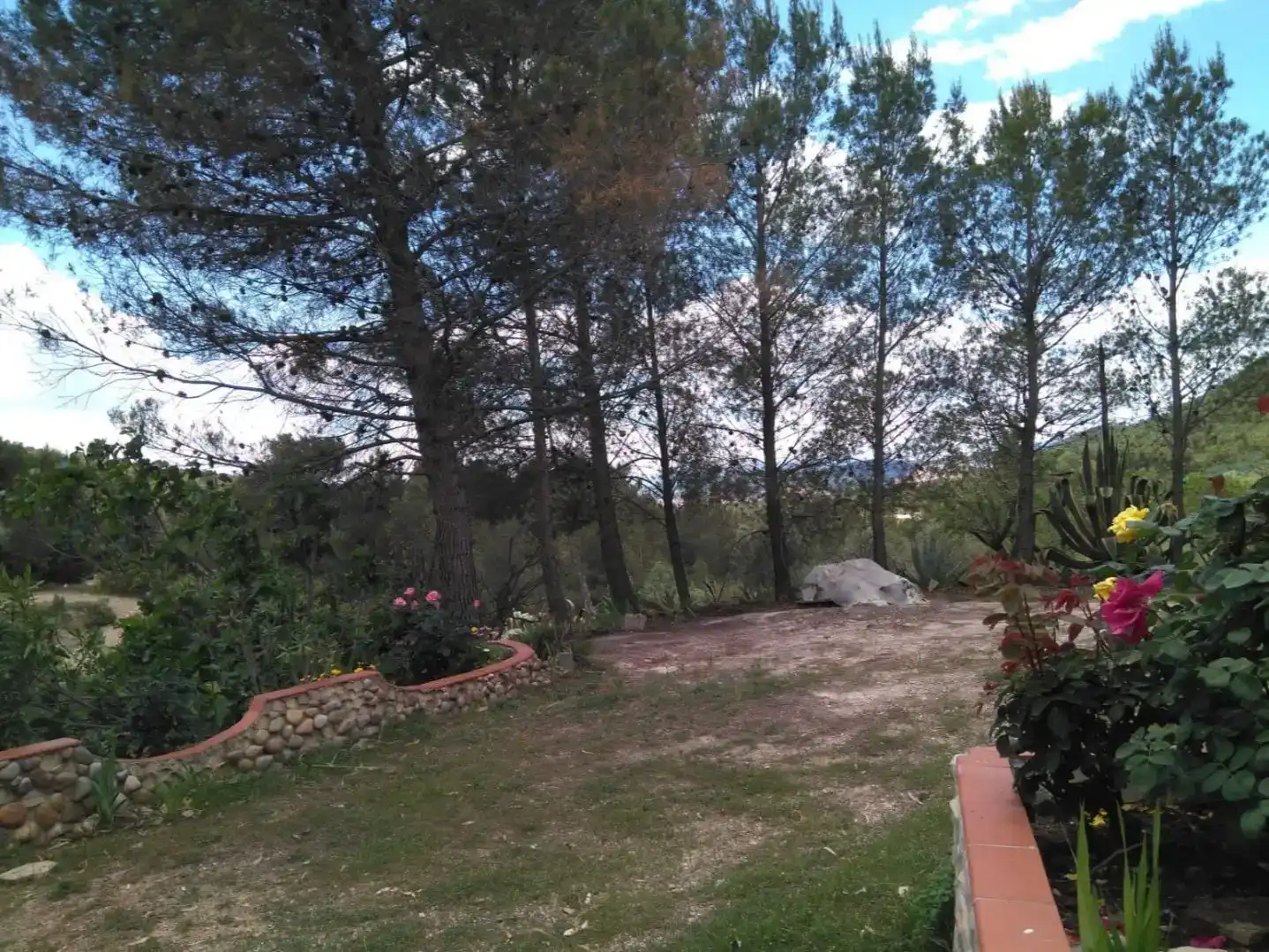 Jardí de Casa o xalet en venda en Andilla, Valencia