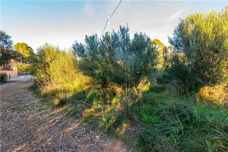 Terreny residencial en venda a Colònia de Sant Pere