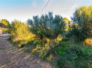Terreny residencial en venda a Colònia de Sant Pere
