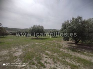 Terreno rustico in vendita a Calle TERMINO DE LUQUE