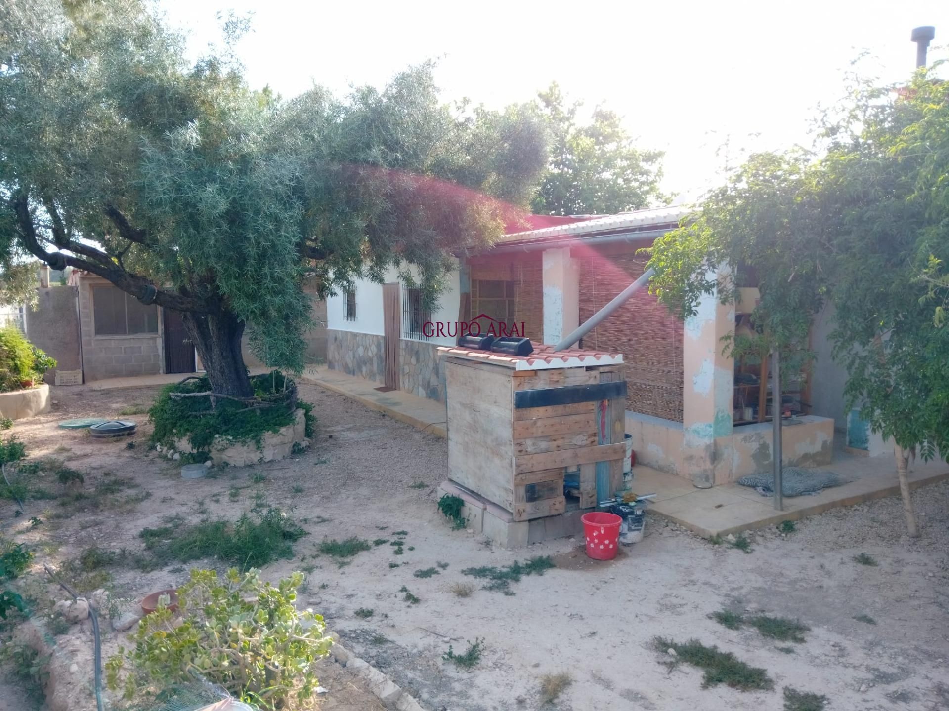 Garden of House or chalet for sale in Agost