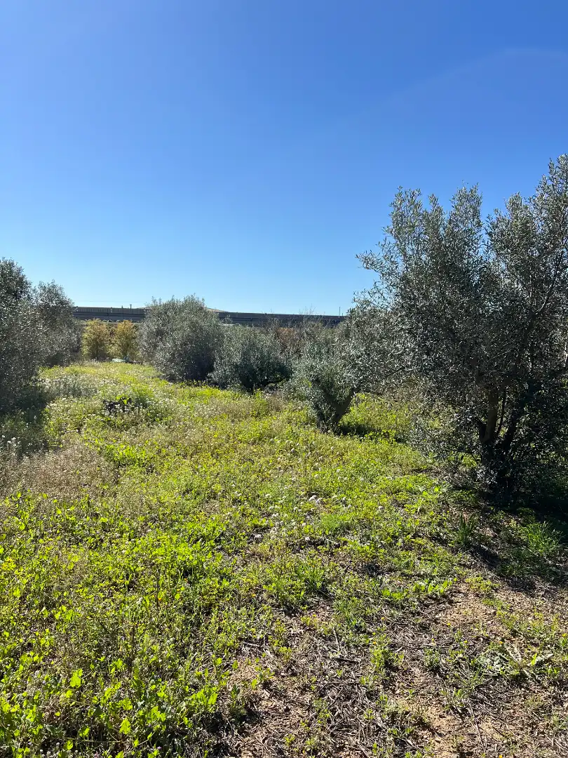 Terreno rustico in vendita a Vinyols i els Arcs, imagen 22