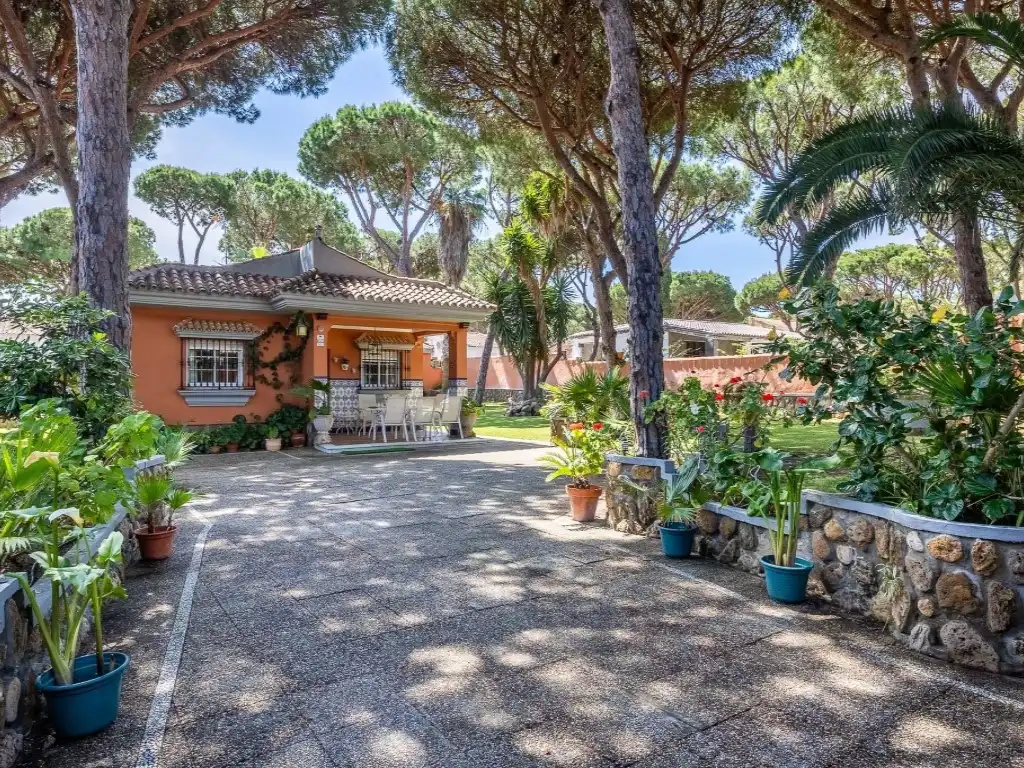 Jardí de Casa o xalet en venda en Chiclana de la Frontera amb Aire condicionat, Calefacció i Jardí privat