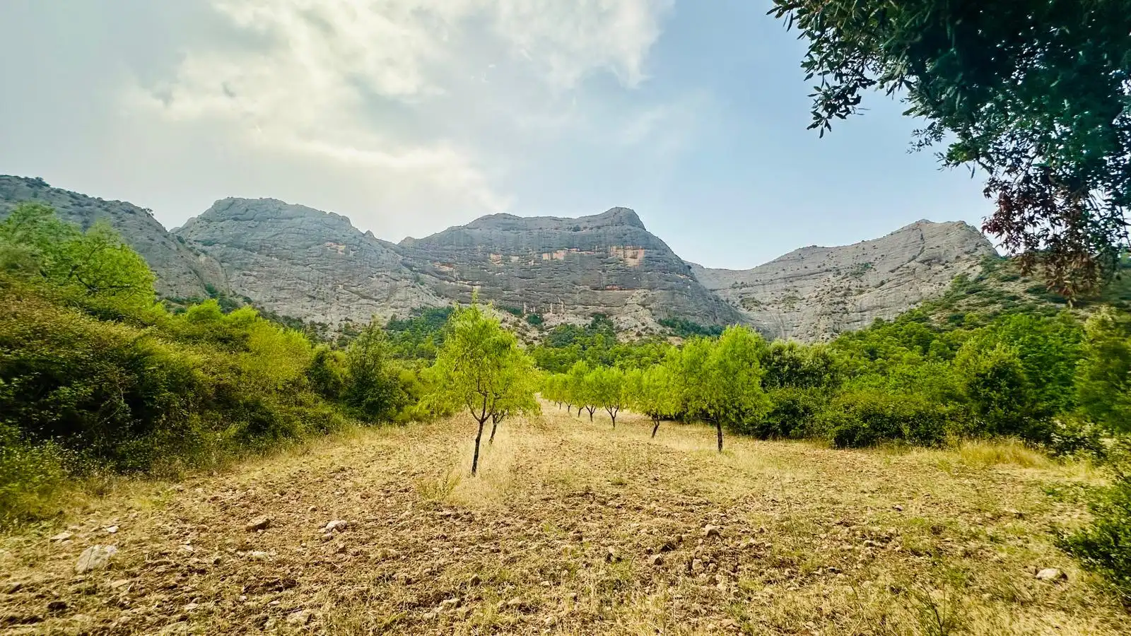 Rural land for sale in Horta de Sant Joan, imagen 10