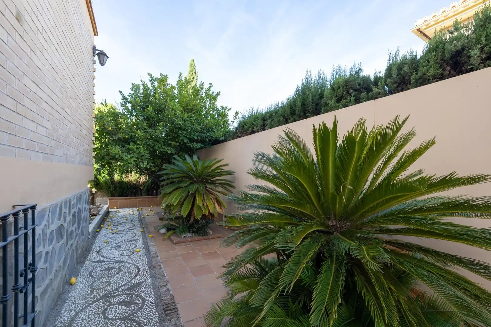 Villa con terrazza in vendita a Calle VIÑEDOS LOS, imagen 49