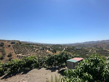 Terreny rústic en venda a Benamargosa