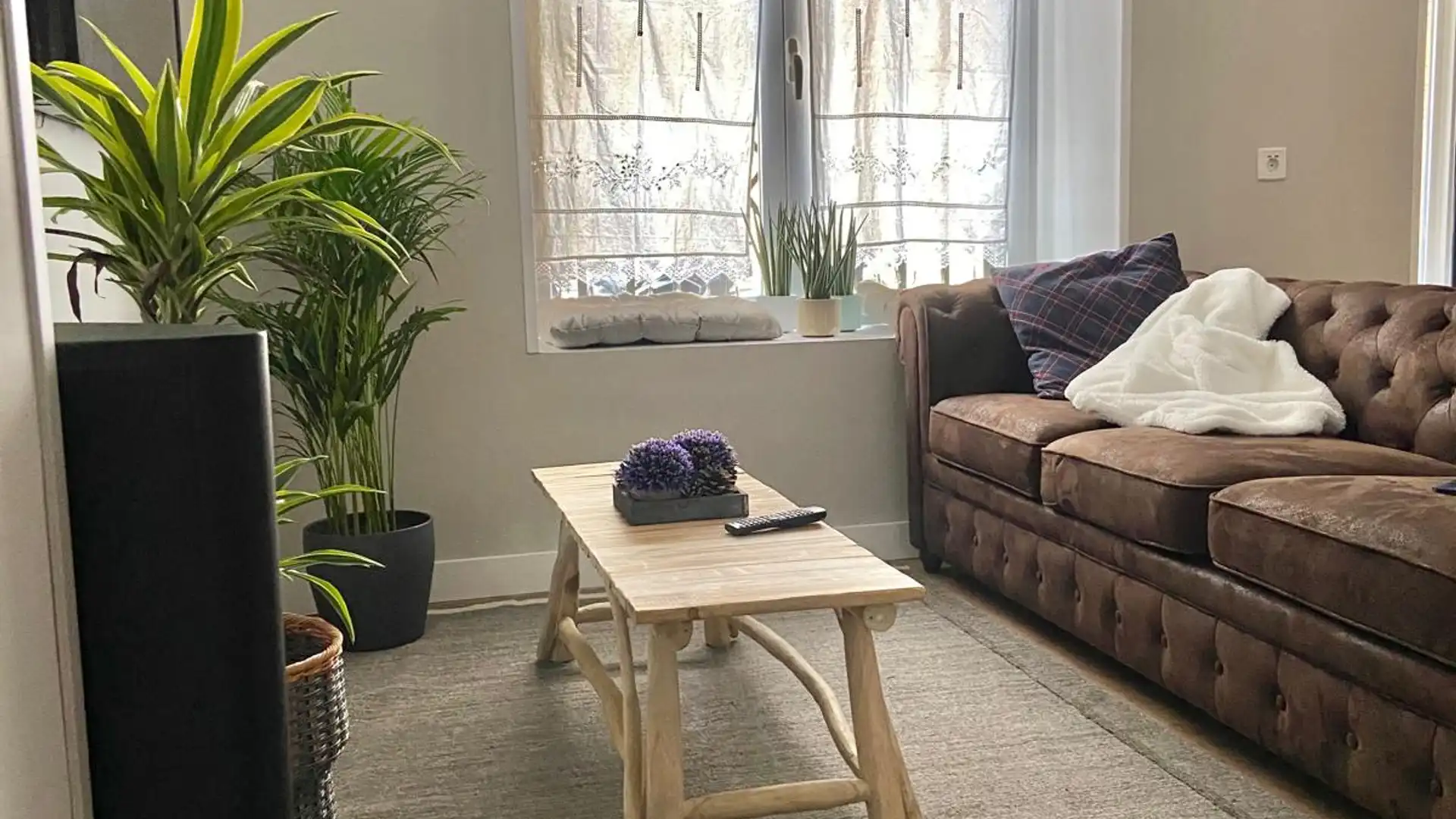 Living room of Planta baja for sale in  Madrid Capital