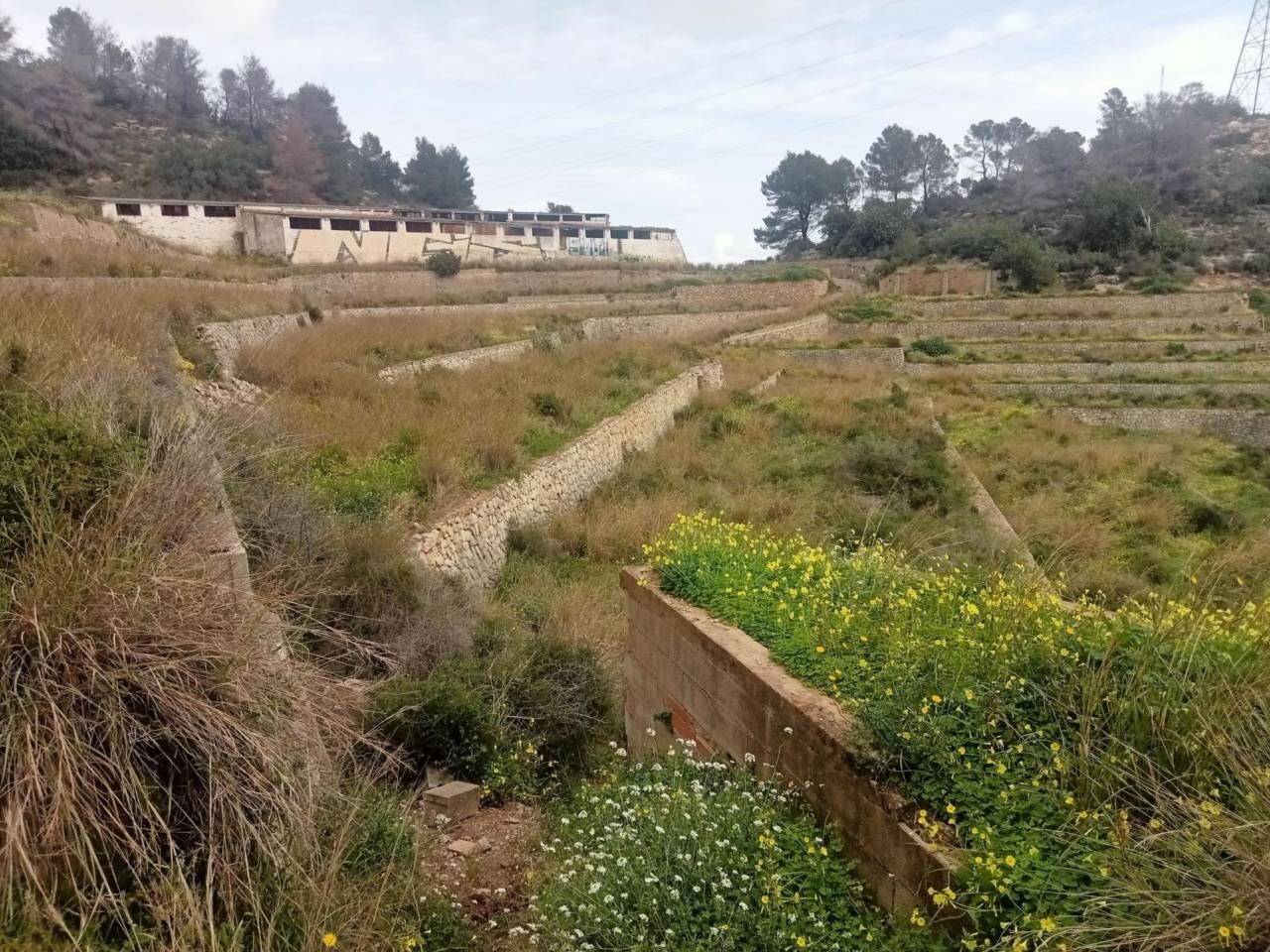 Residencial en venda en Xeresa