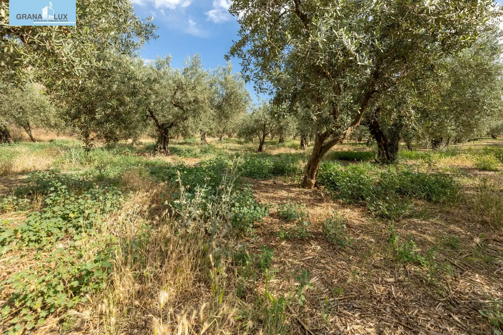 Terreno rustico in vendita a Calle POL 1, PARC 176, imagen 10