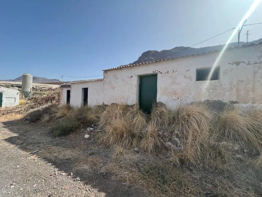 Terreny rústic en venda a La Aldea de San Nicolás, imagen 10