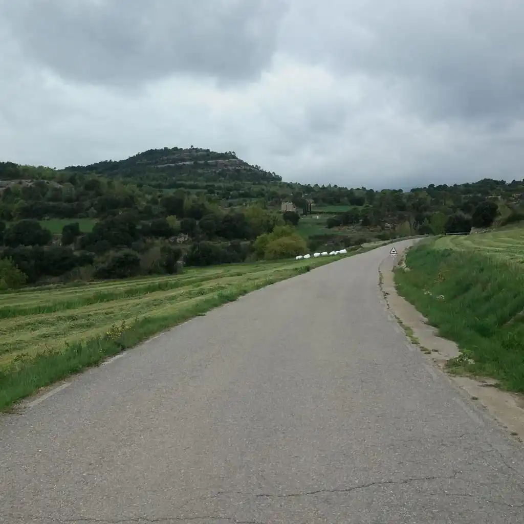 Exterior view of Land for sale in Olvan