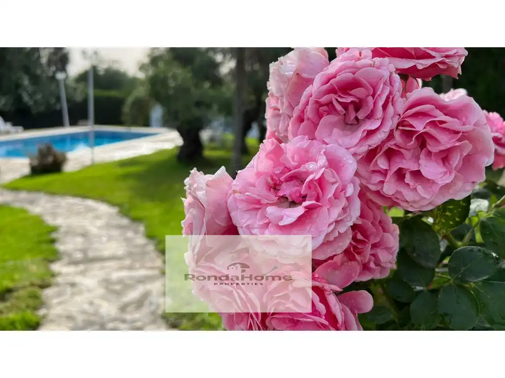 Country homes for sale in Villamartín