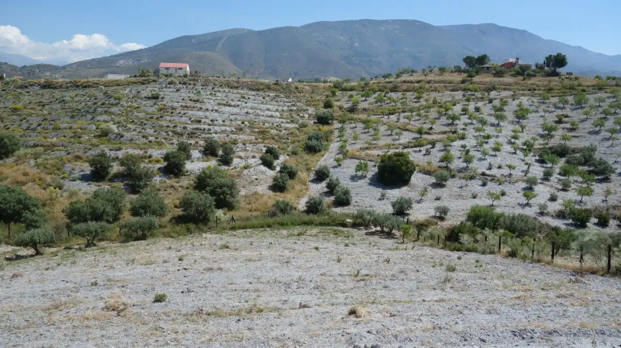 Casa rústica amb piscina en venda a Vélez de Benaudalla, imagen 35