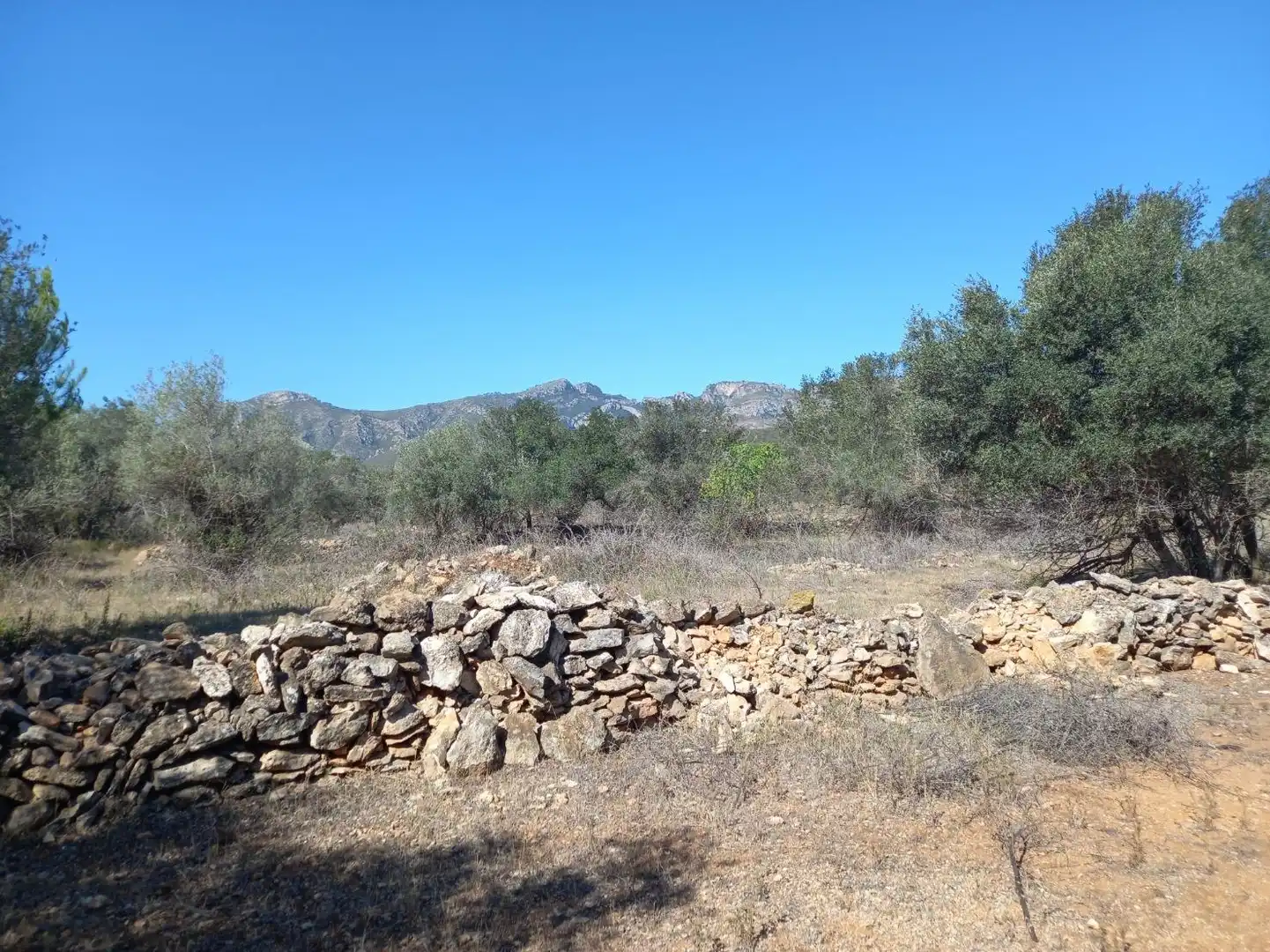 Terrain rustique à vendre à Rasquera, imagen 9