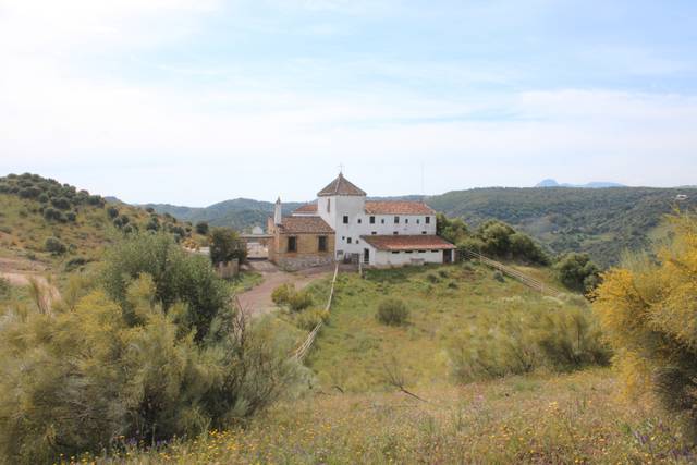 Finca rústica en Venta en SE-458, 38B en La Puebla de Cazalla