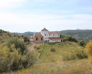 Exterior view of Country house for sale in La Puebla de Cazalla  with Private garden, Terrace and Furnished
