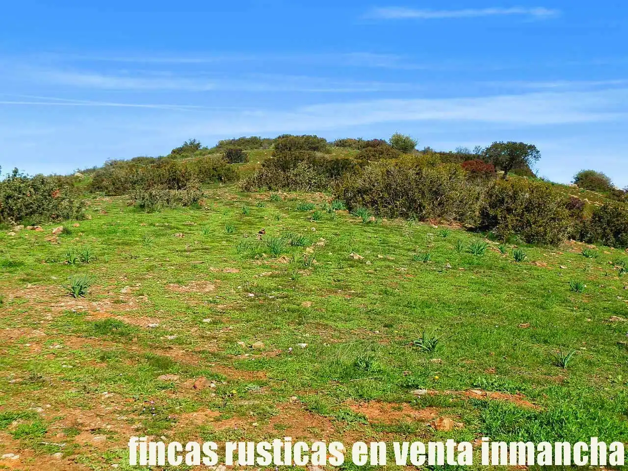 Terreno rustico in vendita a Aldea del Rey, imagen 7