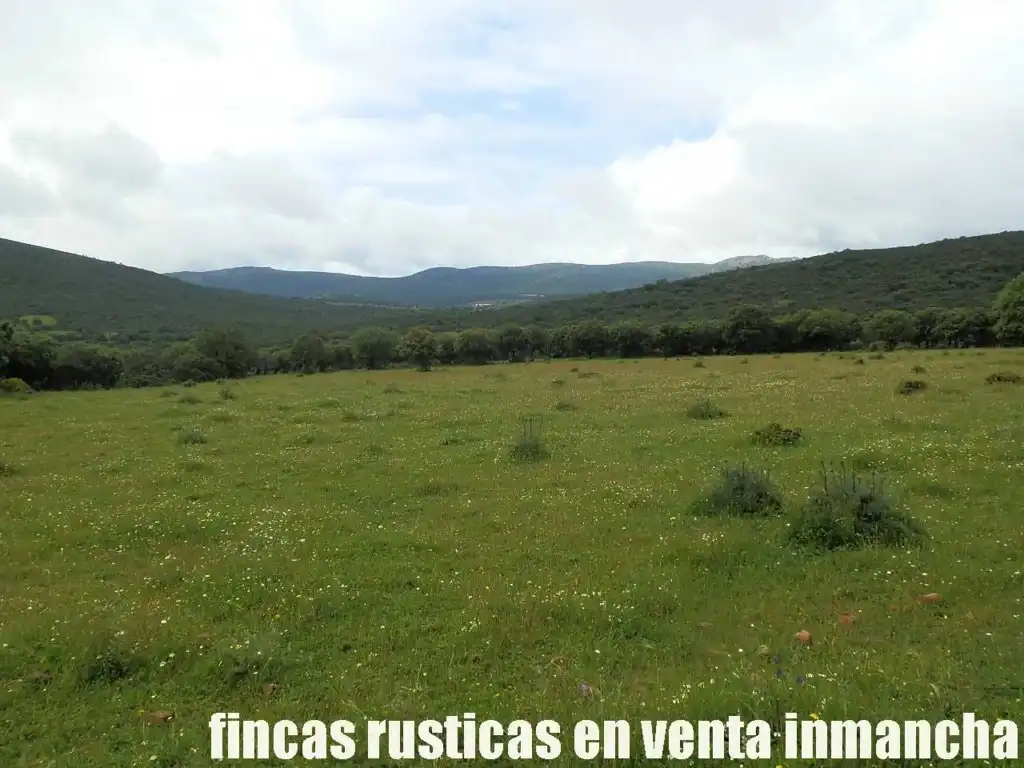 Terreno rústico en venta en Abenójar, imagen 11