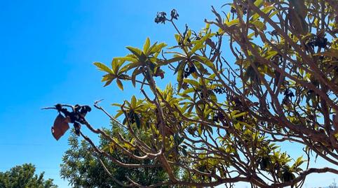 Foto 3 de Terreno en venta en N-340, 2, Torreblanca, Castellón