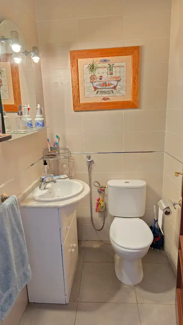 Casa o xalet en venda a Calle Virgen, 67, Aliseda