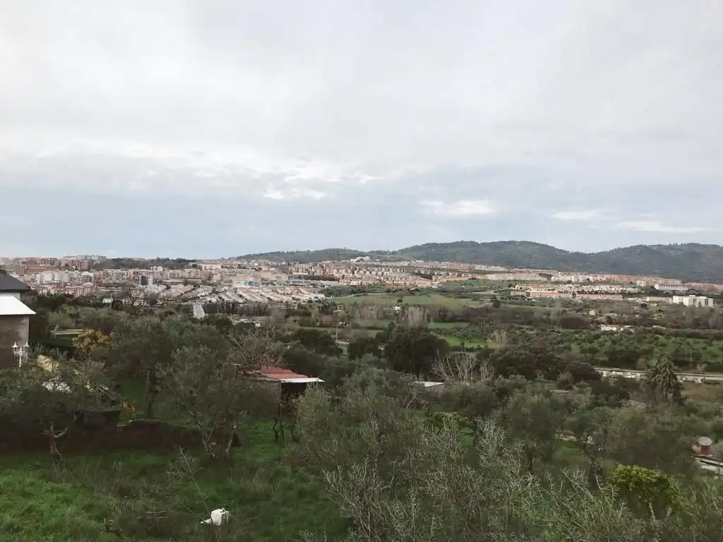 Houses for sale in Calle Mártires, Zona Sur - Av. de España - San Miguel