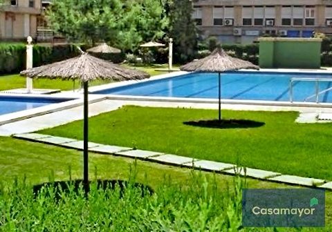 Swimming pool of Flat for sale in Alicante / Alacant  with Private garden, Swimming Pool and Furnished