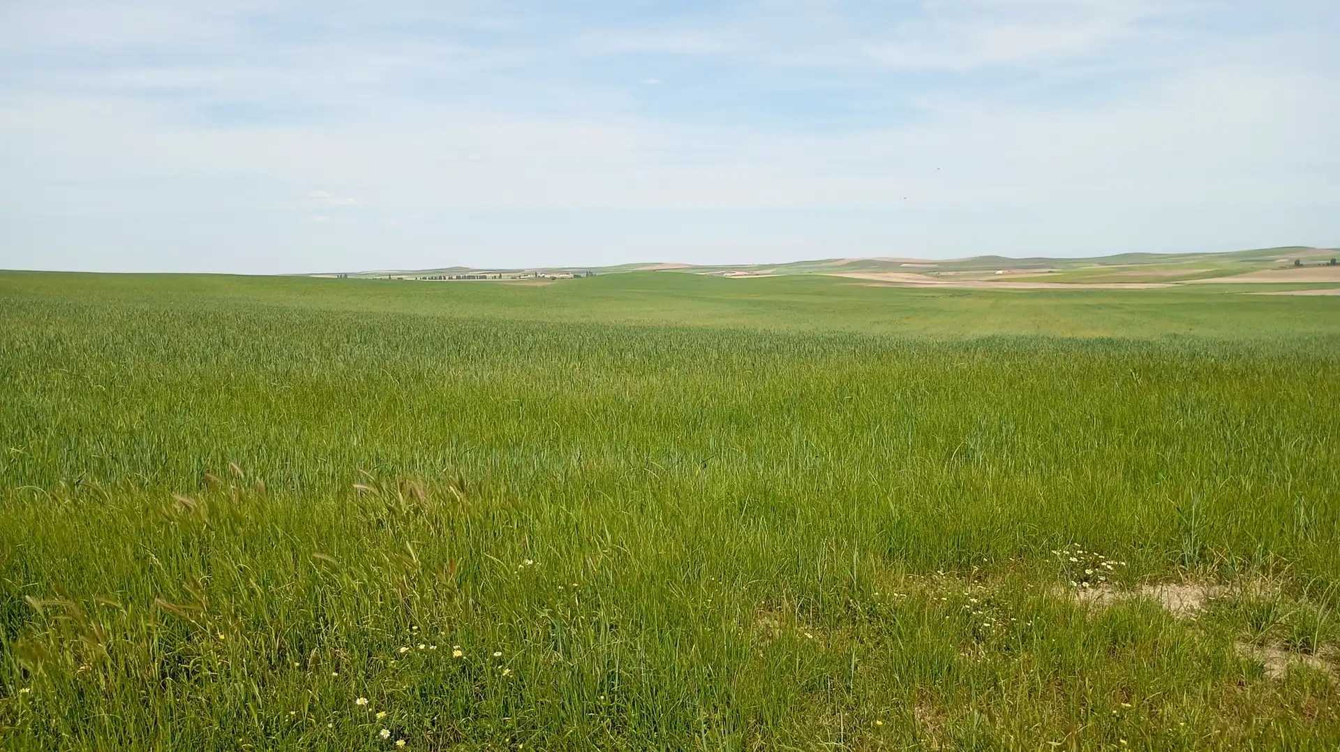 Land for sale in Calle Iglesia, Cantaracillo