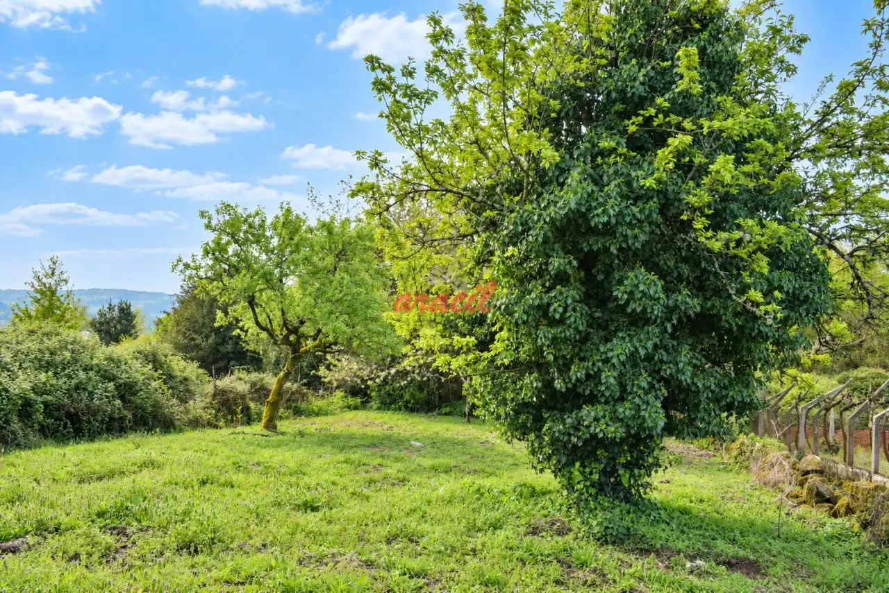 Casa rustica con giardino in vendita a Coles, imagen 6