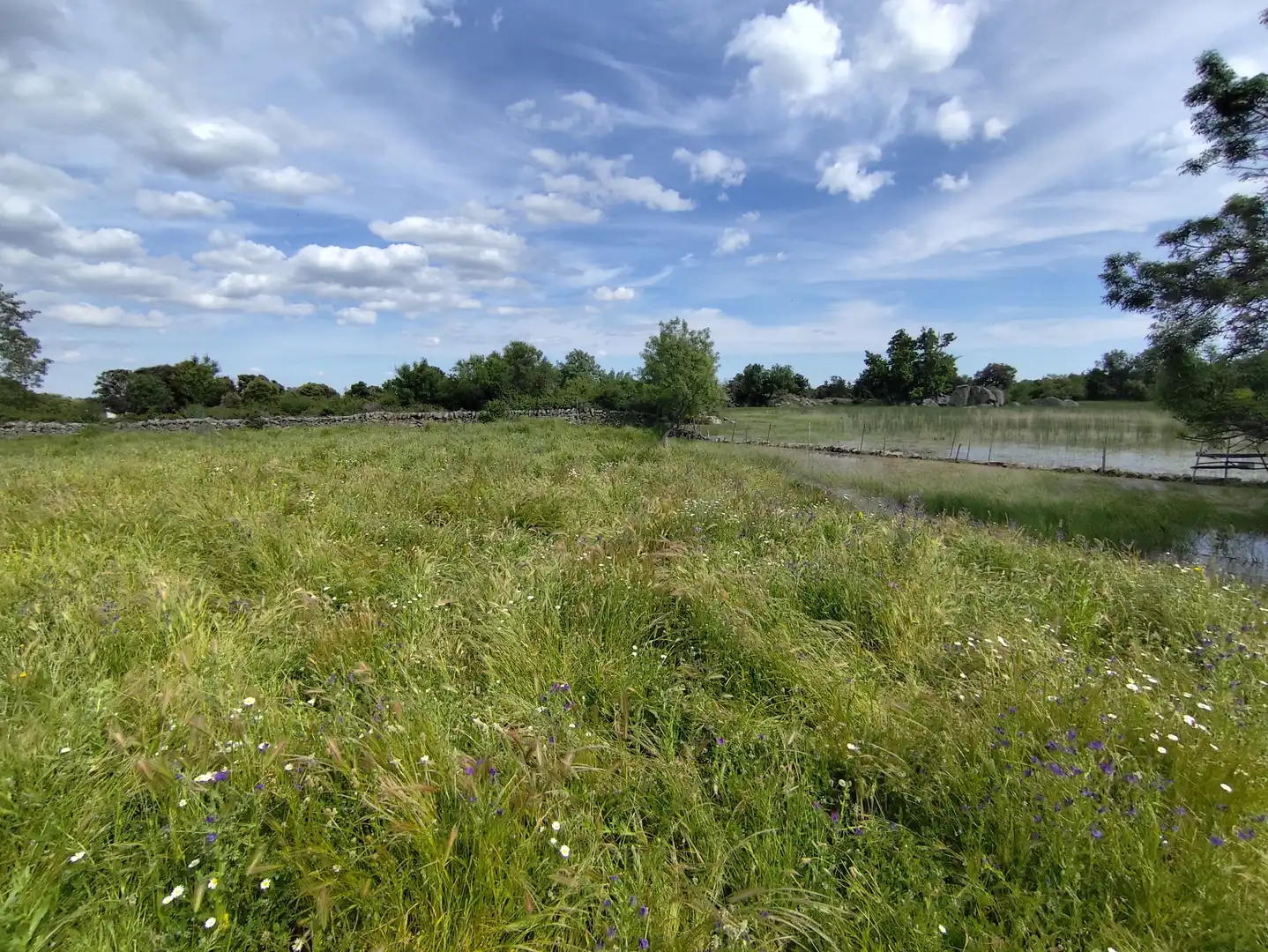 Terreno industrial en venta en Zarzalejo