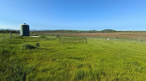 MéridaTerreno, imagen 5