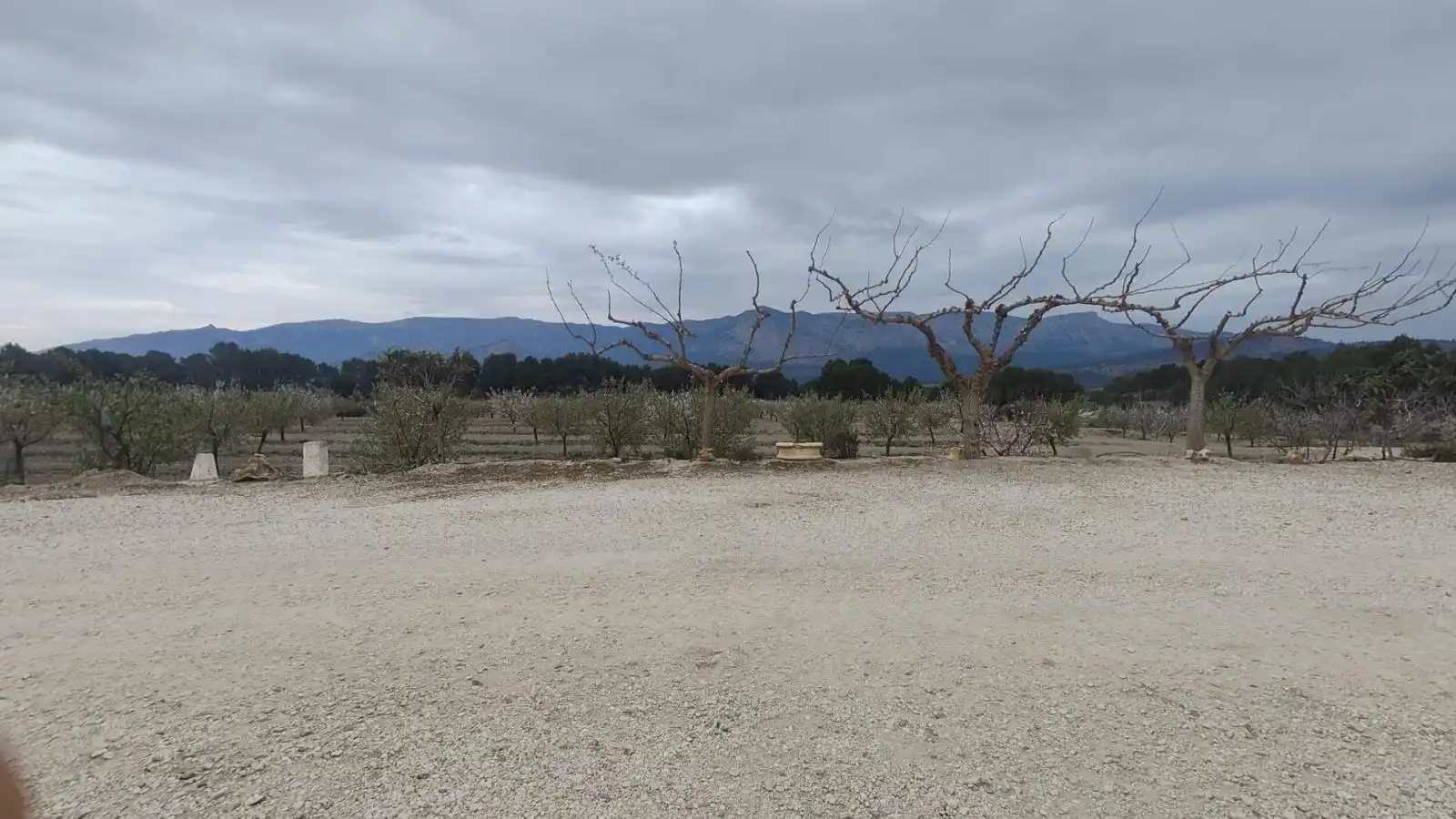 Casa o xalet en venda en Mula amb Terrassa