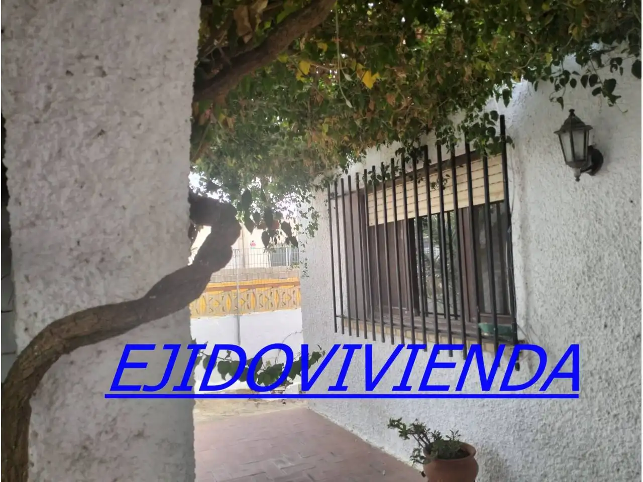 Vista exterior de Casa o chalet en venta en El Ejido con Jardín privado y Terraza