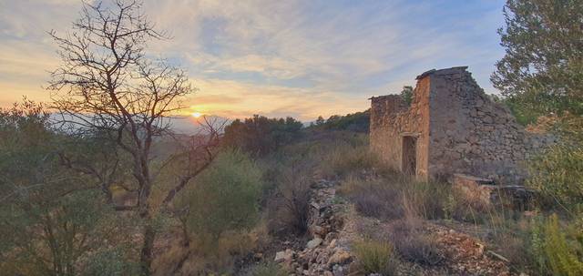 Casa-chalet en Venta en Carrer de la Carretera, 5 en El Pinell de Brai