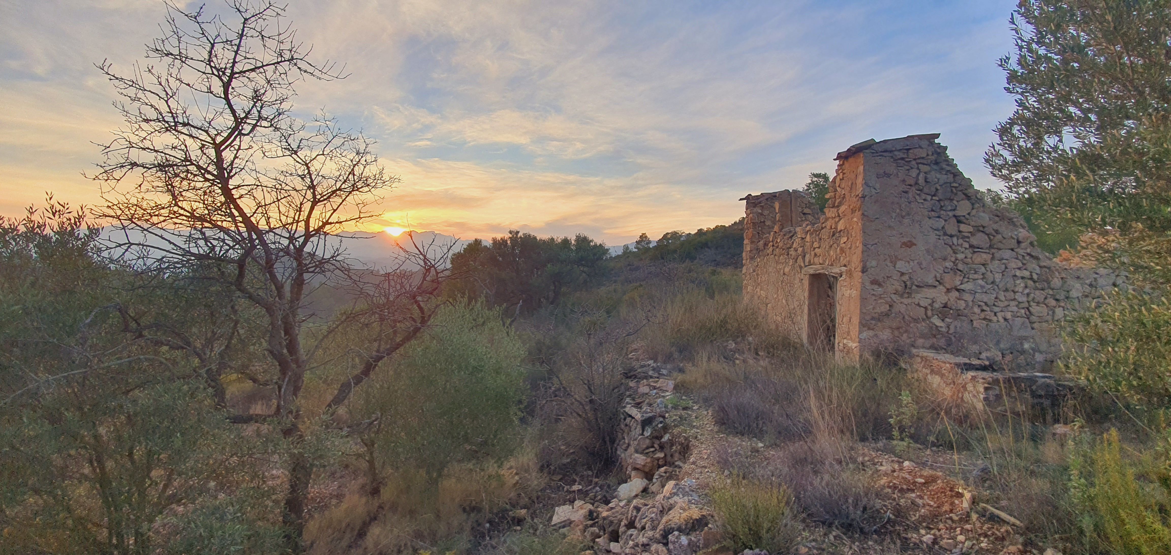 Vista exterior de Casa o xalet en venda en El Pinell de Brai