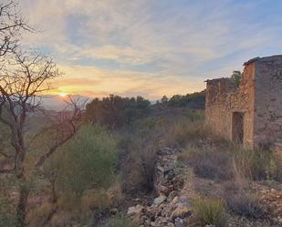 Vista exterior de Casa o xalet en venda en El Pinell de Brai