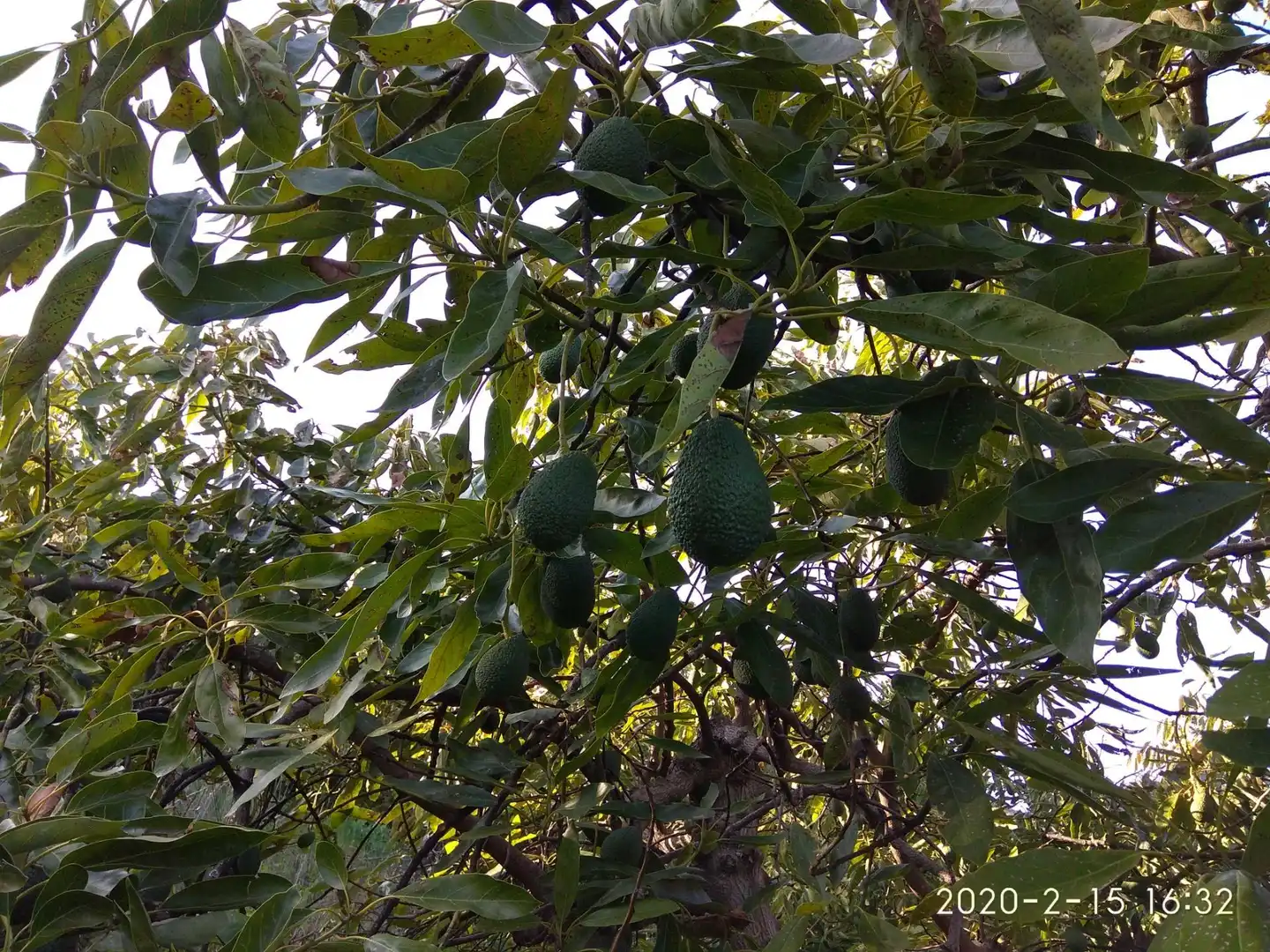 Terrains et parcelles à vendre à Ojén pueblo, imagen 12