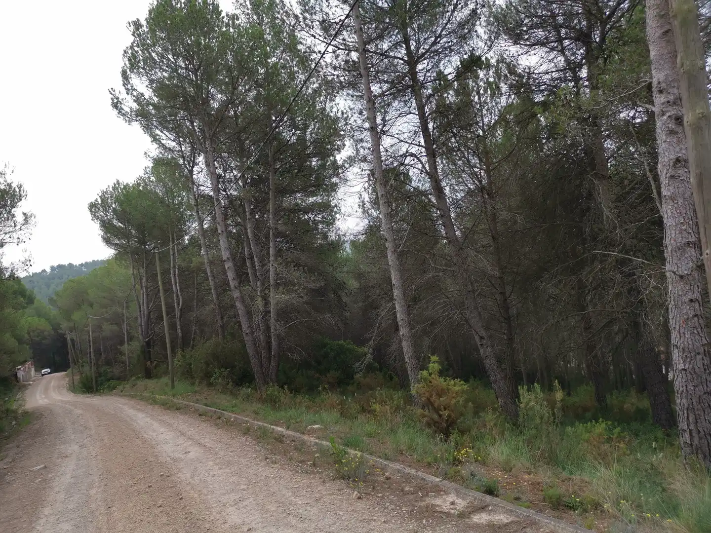 Residencial en venta en Avinguda Gaudí, 14, El Montmell