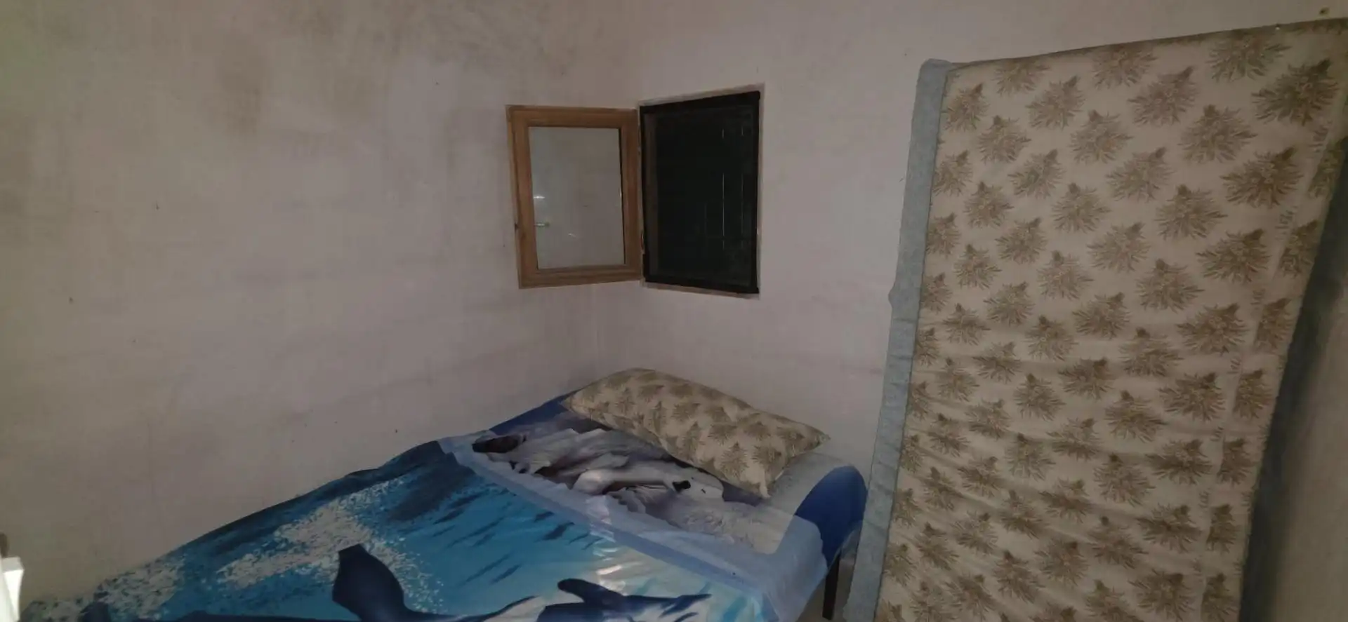 Maison rustique à vendre à Roques Daurades - L'Estany, imagen 14