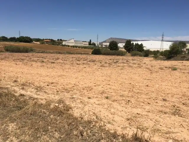 Terreno rustico in vendita a Almansa, imagen 2