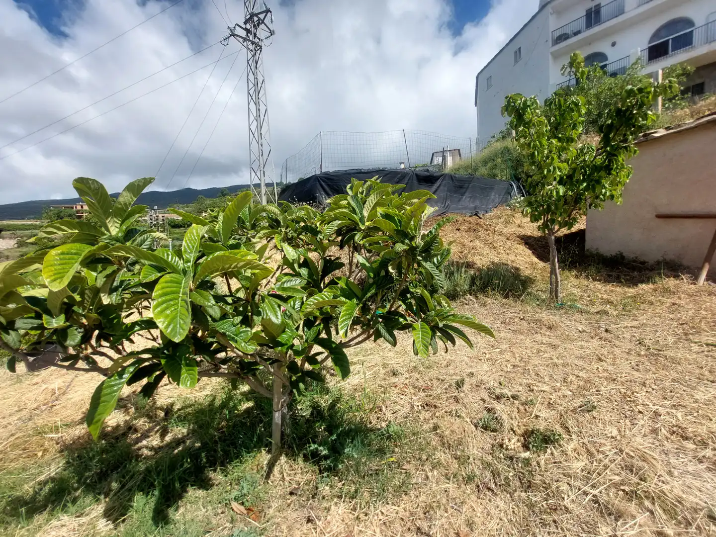 Land for sale in Pórtugos